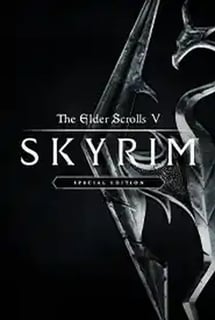 Skyrim Together Poster
