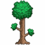Terraria