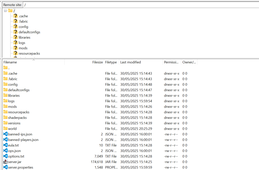 Logged Into SFTP
