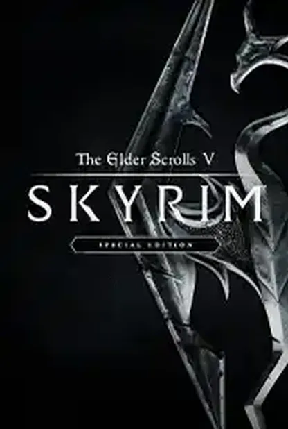 Skyrim Together Poster