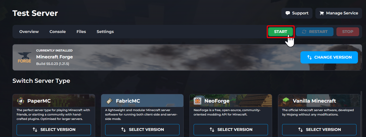Starting your Forge Server