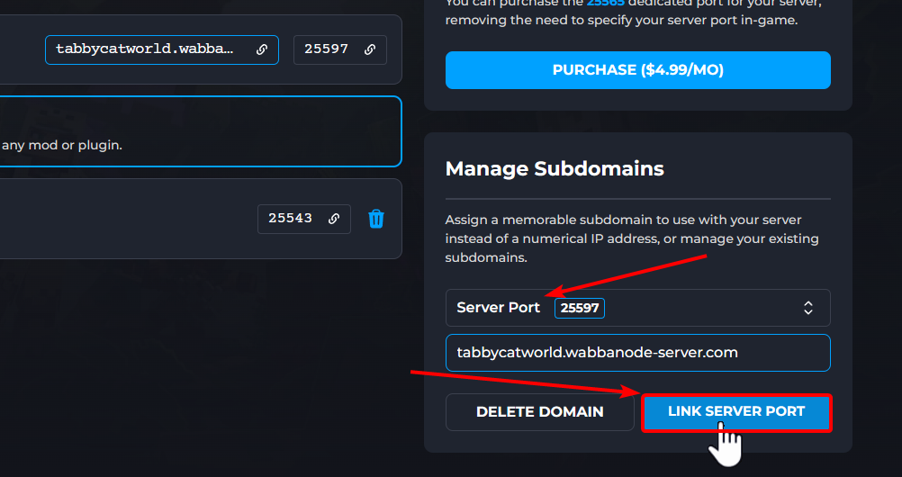 Linking Server Port
