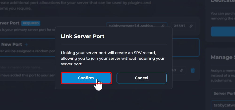 Confirm Server Port Linking